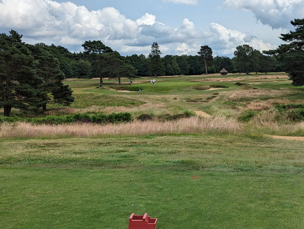 17th Hole (Walton Heath Old Course)