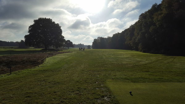 Walton Heath: New Course review