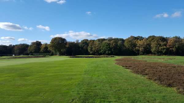 Walton Heath: New Course review