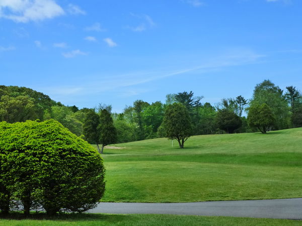 Local golf professional Gabriella Cowley wins first Rose Ladies Series event