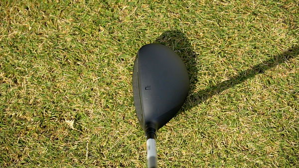 Cobra Darkspeed Hybrid