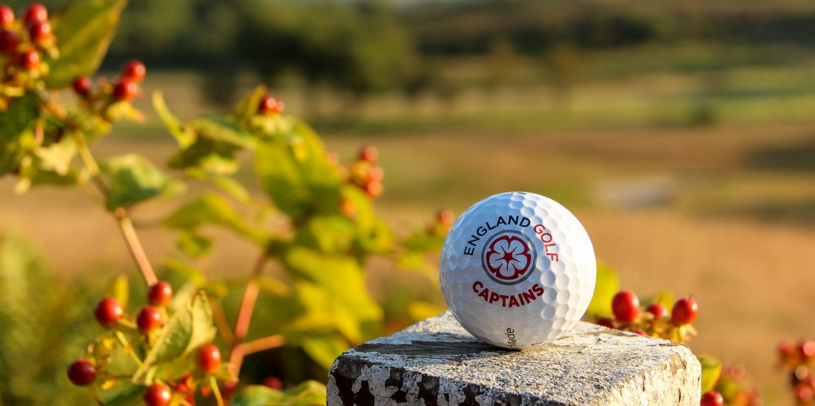 England Golf boss: Golf membership