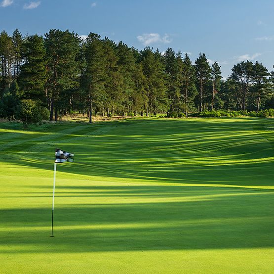 Best UK Golf Memberships for £315 OR LESS with Play More Golf