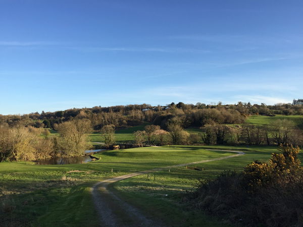 Golf fans react as unlucky golfer ACCIDENTALLY hits car with his ball