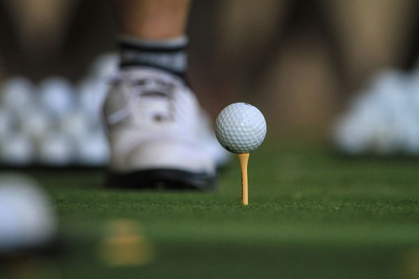 Golf Tees: Plastic or Wooden - which ones do you use on the course?