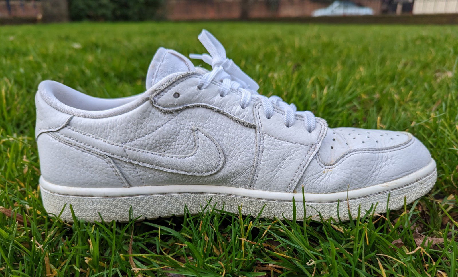 Nike Air Jordan 1 Low G Golf Shoes Review: 