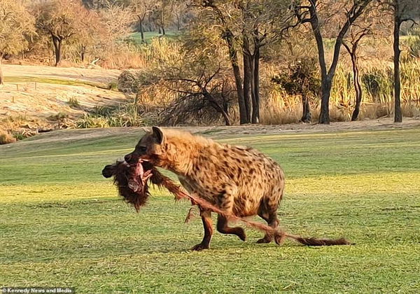 The WILDEST golf course in the world