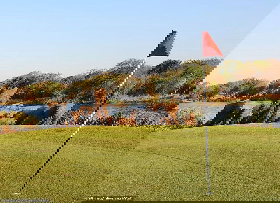 The WILDEST golf course in the world