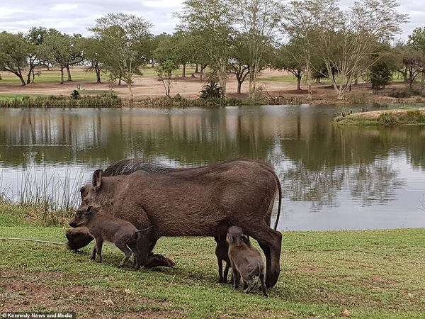 The WILDEST golf course in the world