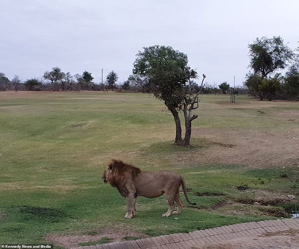 The WILDEST golf course in the world