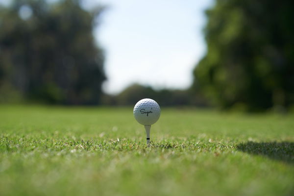 Golfers in BUST-UP with dog walker at UK golf club