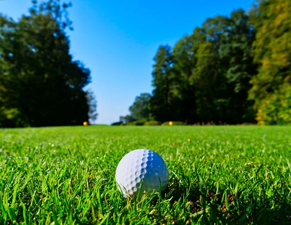 Golf fans react as UNLUCKY GOLFER is hit on the HEAD with a golf ball